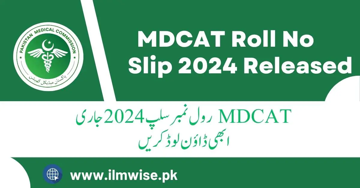 Roll No Slip 2024